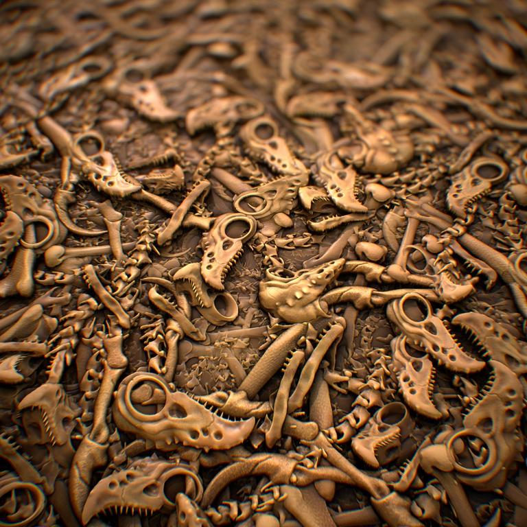 Materials studies Old dino bons