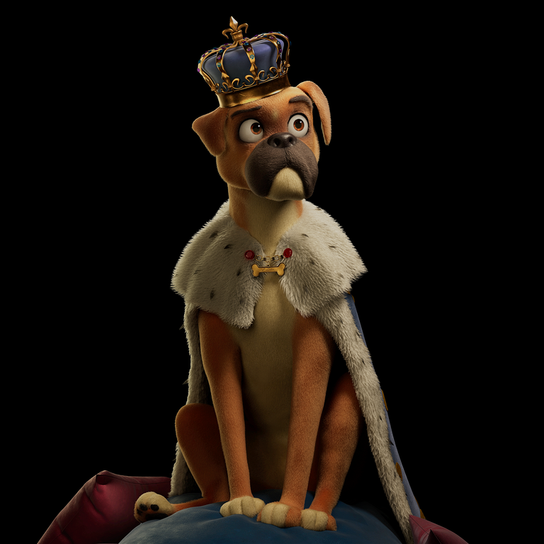king emilio full body dog boxer